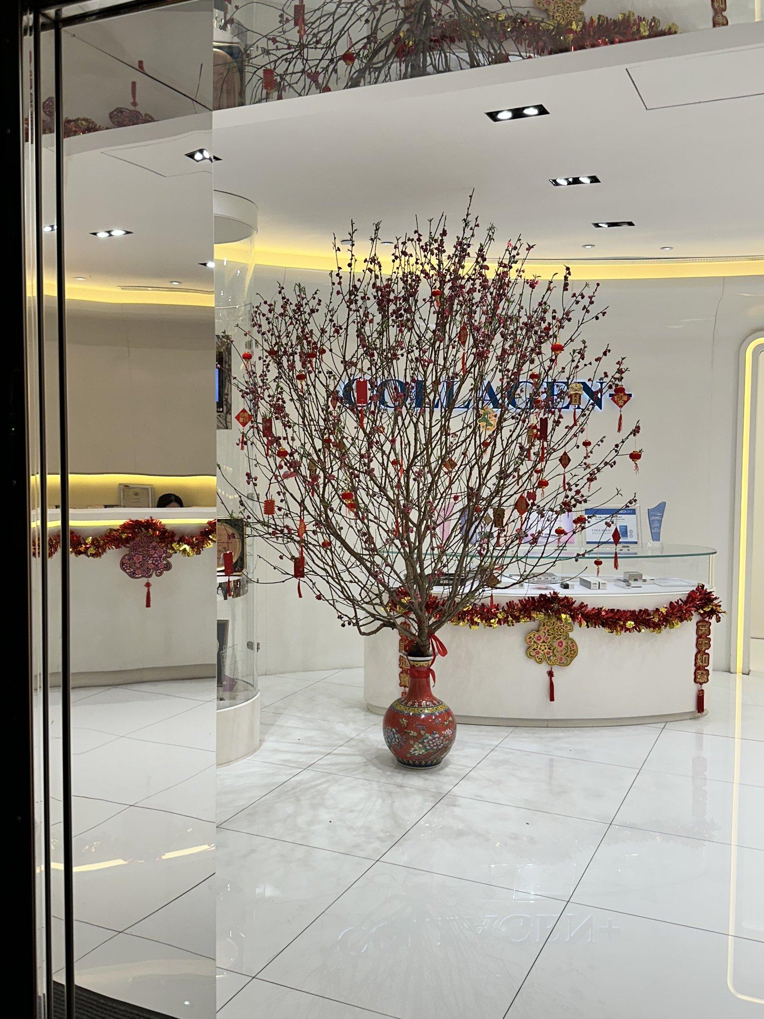 COLLAGEN+(铜锣湾店)